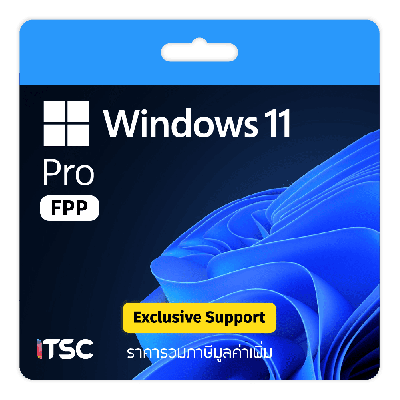 Microsoft Windows 11 Pro [FPP]