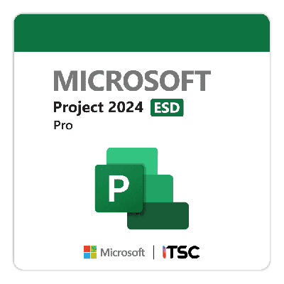 Microsoft Project Pro 2024 All Lng Retail Online [ESD]