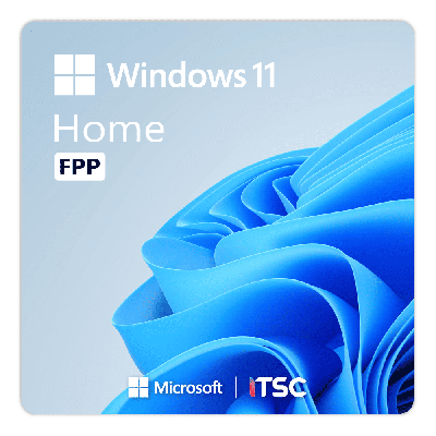 Microsoft Windows 11 Home [FPP]