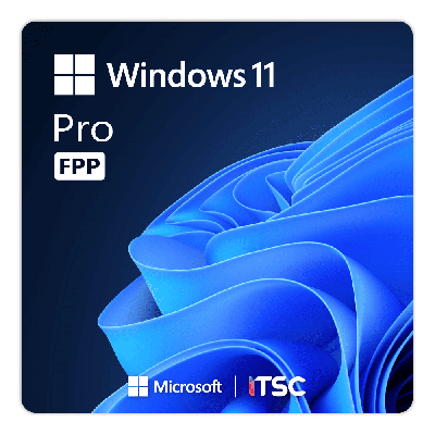 Microsoft Windows 11 Pro [FPP]