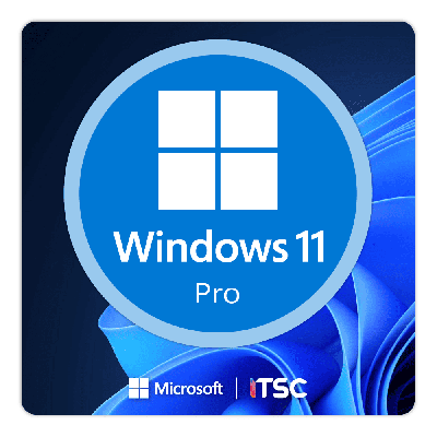 Microsoft Windows 11 Pro [64Bit]