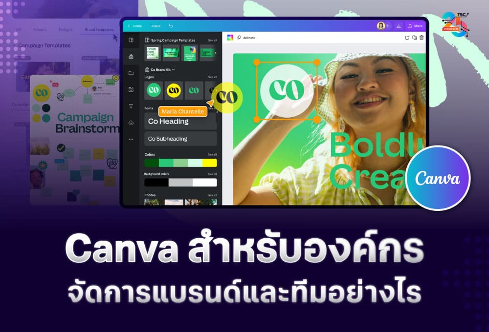 Canva สำหรับองค์กร: วางระบบงานออกแบบ คุมแบรนด์ และบริหารทีมอย่างเป็นระบบ